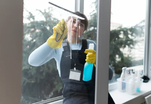 Nettoyage de vitres intérieures et extérieures à Puygiron